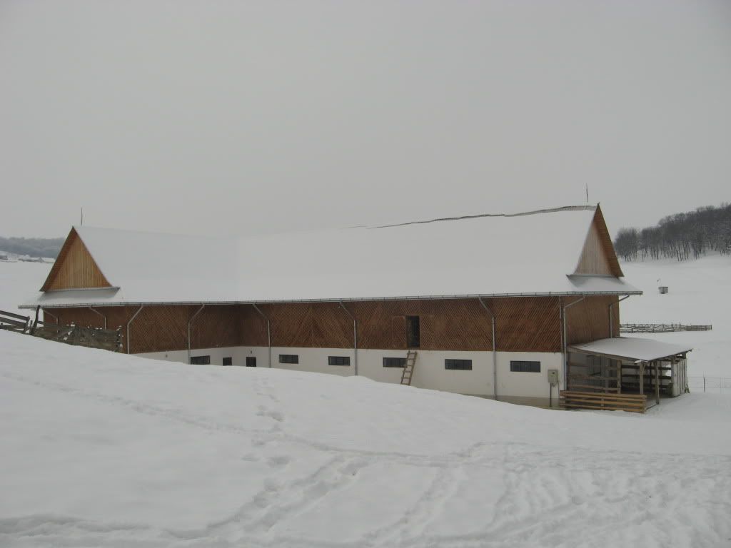 IMG 4030 Imagini Manastirea Zosin, Botosani   20 Februarie 2011