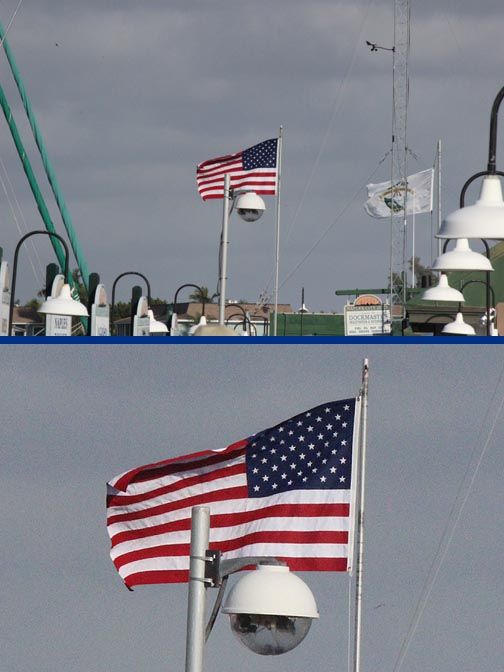 IMAGE: http://i1209.photobucket.com/albums/cc391/captainvic7/eeeIMG_2003_zpse17a6e32.jpg