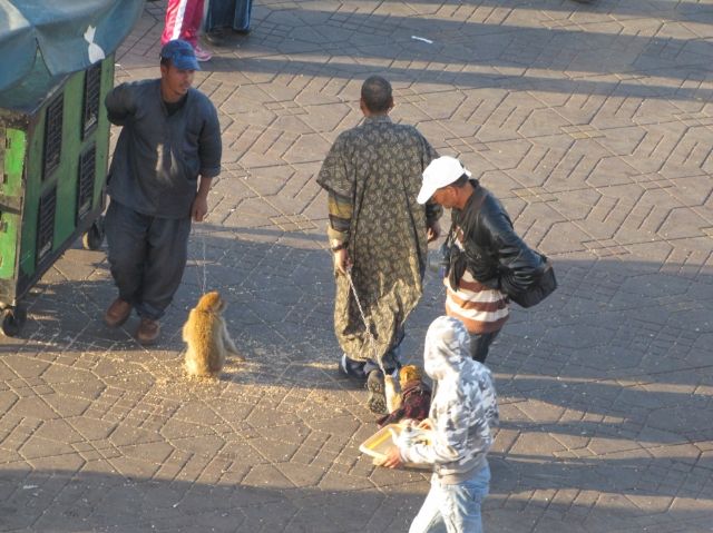 Marrakech un viaje muy económico - Blogs de Marruecos - Día 2: Descubramos la ciudad (38)