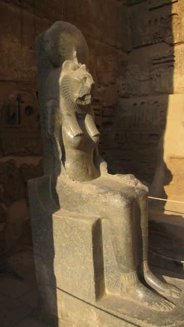 Egipto, el país que algún día hay que visitar  - Blogs de Egipto - DÍA 3: 4 /enero/ 2011 Luxor - Esna  (5)