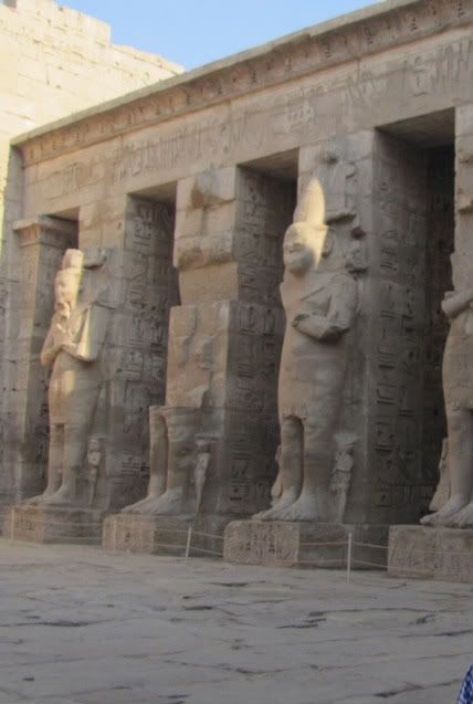 Egipto, el país que algún día hay que visitar  - Blogs de Egipto - DÍA 3: 4 /enero/ 2011 Luxor - Esna  (8)