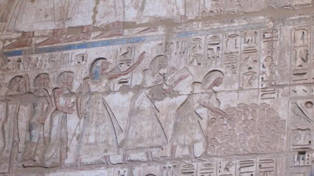 Egipto, el país que algún día hay que visitar  - Blogs de Egipto - DÍA 3: 4 /enero/ 2011 Luxor - Esna  (10)
