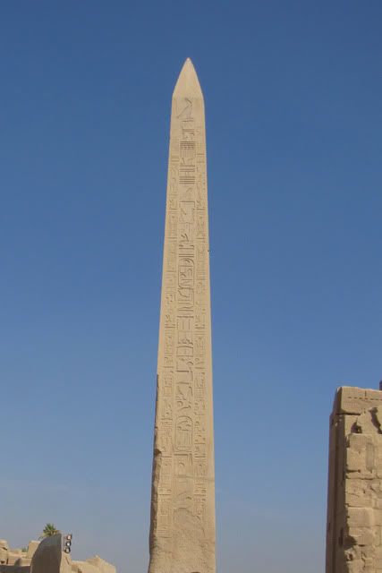 DÍA 2: 3/enero/2011 El Cairo - Luxor   - Egipto, el país que algún día hay que visitar  (12)