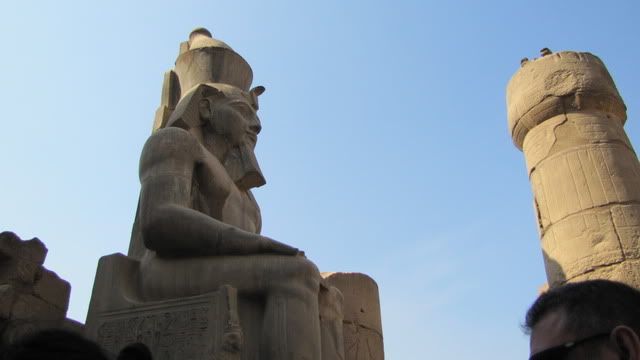 Egipto, el país que algún día hay que visitar  - Blogs de Egipto - DÍA 2: 3/enero/2011 El Cairo - Luxor   (21)
