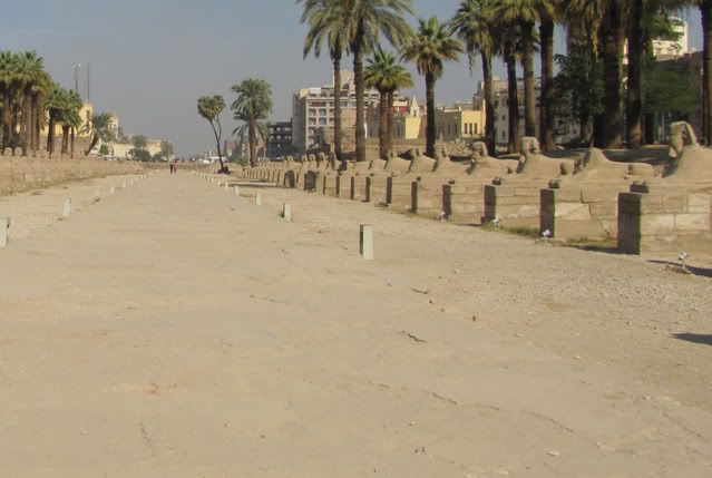 DÍA 2: 3/enero/2011 El Cairo - Luxor   - Egipto, el país que algún día hay que visitar  (19)