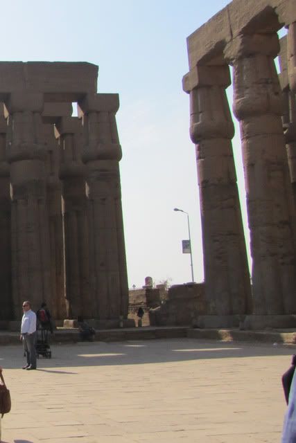 Egipto, el país que algún día hay que visitar  - Blogs de Egipto - DÍA 2: 3/enero/2011 El Cairo - Luxor   (26)
