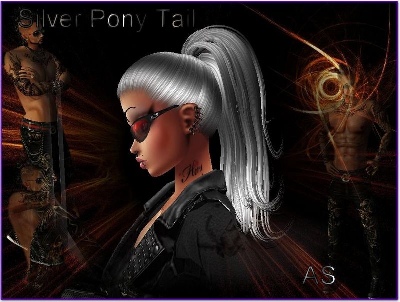 Silver Pony Tail photo ScreenHunter_14Apr090352.jpg