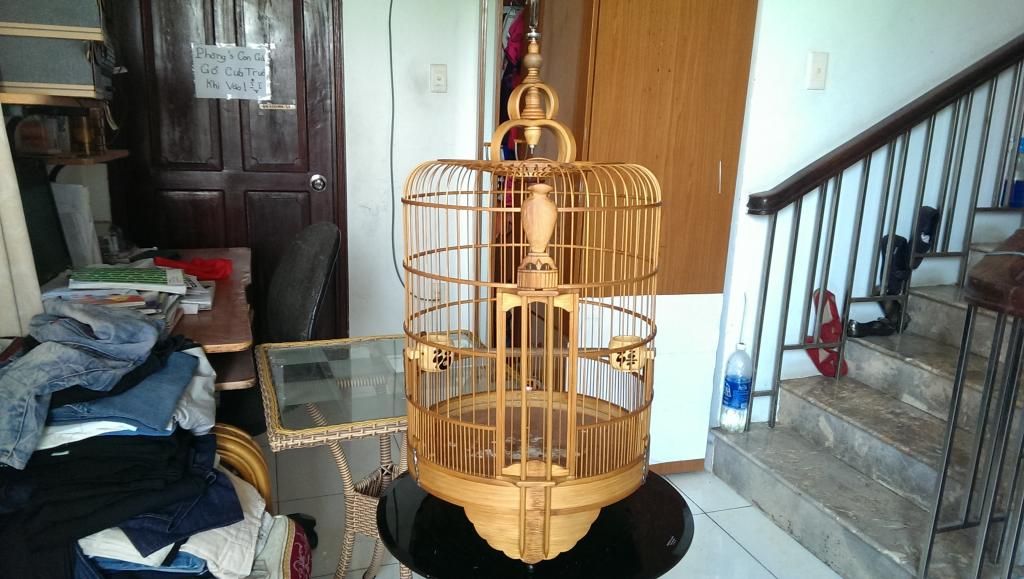 lông nuôi than - mi -  biên hoà - tre già