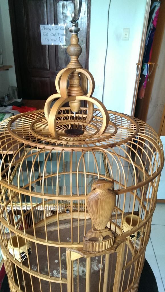 lông nuôi than - mi -  biên hoà - tre già - 1