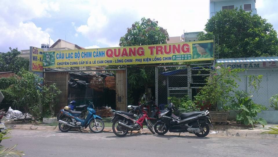 Thi chào mào - 28/06/2015 (chủ nhật)  - câu lạc bộ chim cảnh Quang trung tổ chức - 1