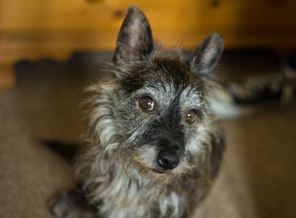 IMAGE: http://i1209.photobucket.com/albums/cc395/MaclarenPhotography/Nifty%20Fifty/_MG_5646.jpg