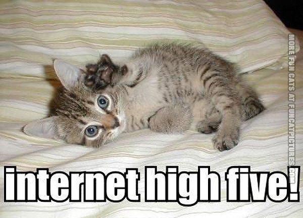 funny-cat-pics-internet-high-five_zpsus0