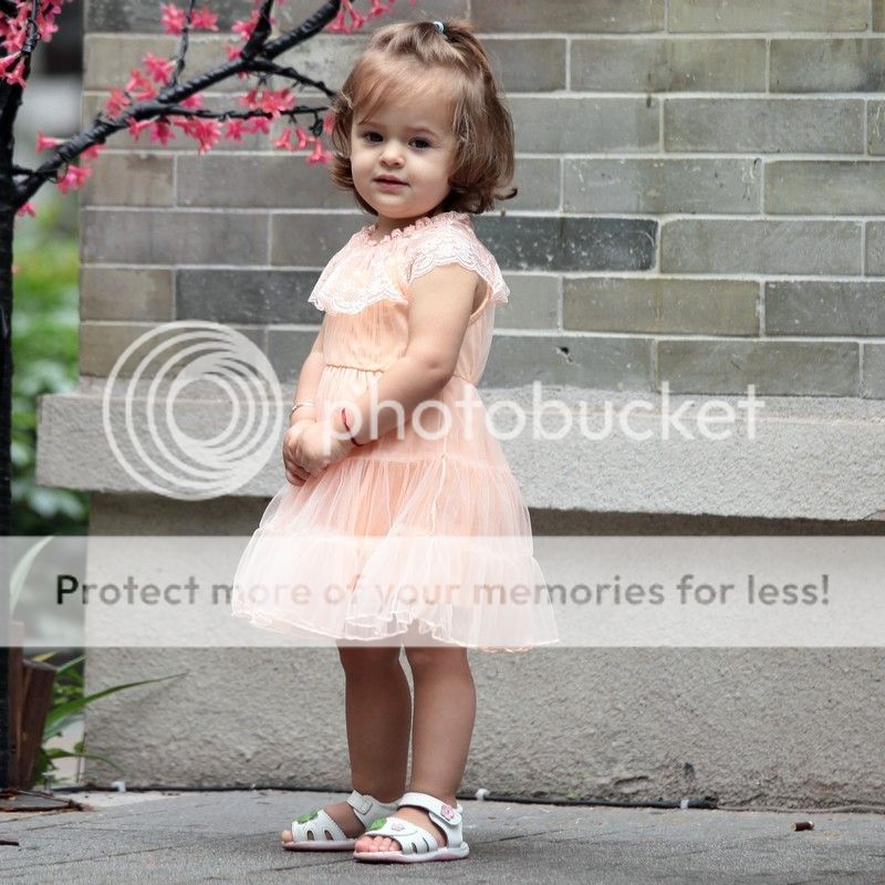 Baby Kid Toddler Girl Wedding Sweet Lace Ruffles Princess Onepiece Dress 6M 4yr