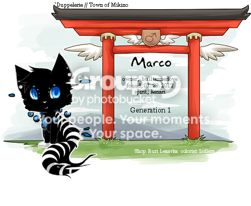 User Image